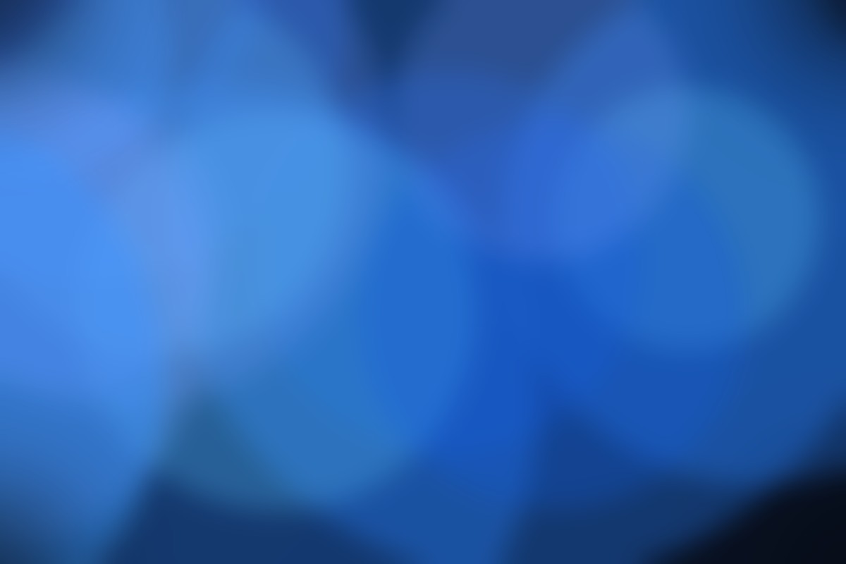 Abstract family-themed image